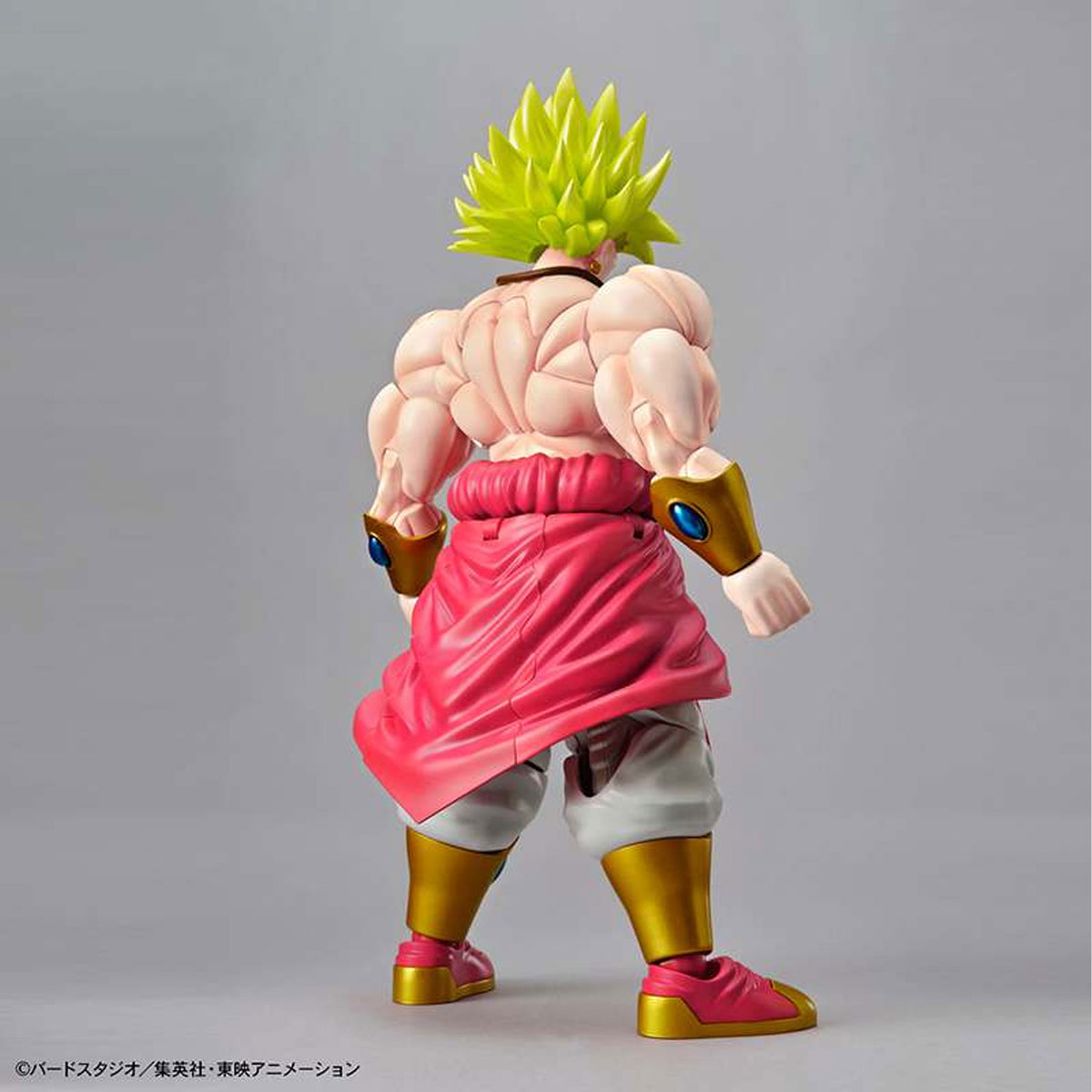 Figure-rise-leg-super-saiyan-broly_animekauppa_anigen1-Model kit