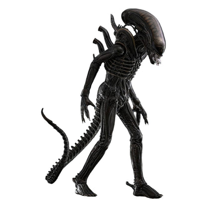 Alien Movie Masterpiece 1/6 Big Chap -Action Figure