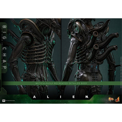 Alien Movie Masterpiece 1/6 Big Chap -Action Figure
