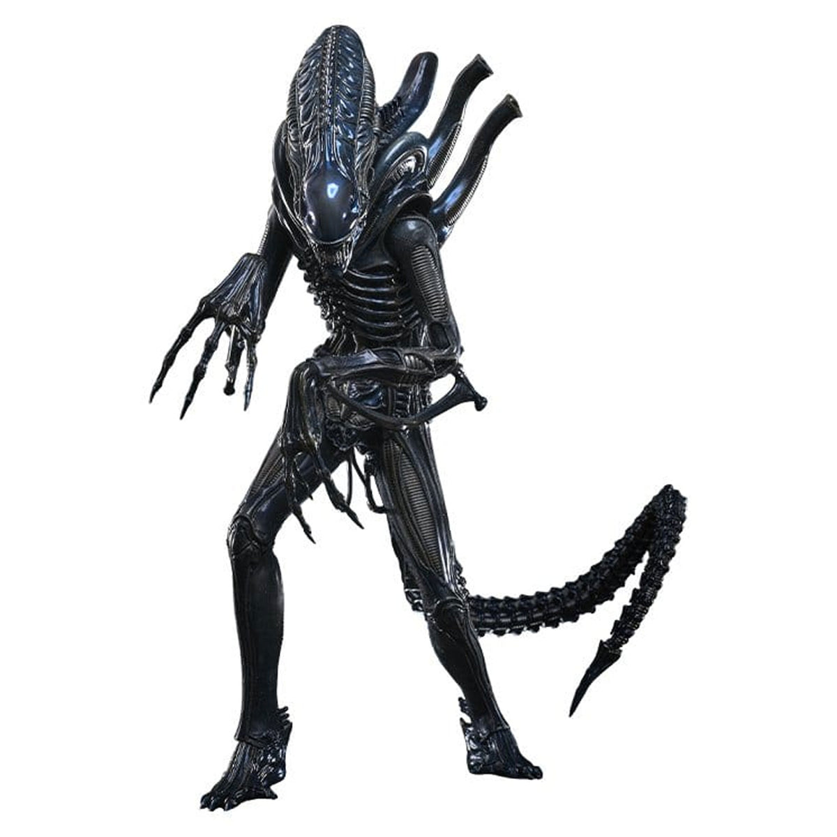 Alien Movie Masterpiece 1/6 Alien Warrior (Deluxe Version) -Action Figure