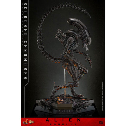 Alien: Romulus Movie Masterpiece 1/6 Scorched Xenomorph -Action Figure