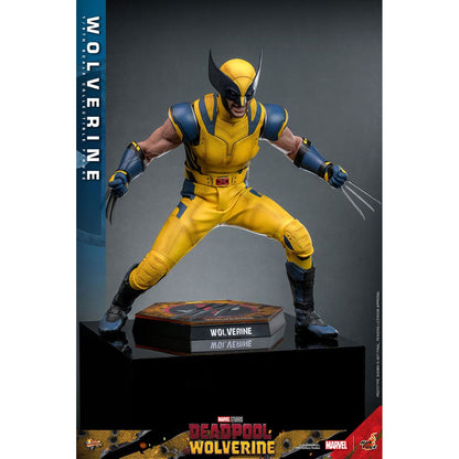 Deadpool & Wolverine Movie Masterpiece 1/6 Wolverine  -Action Figure
