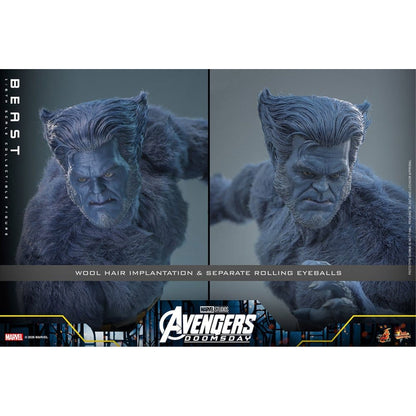 Marvel X-Men Movie Masterpiece 1/6 Beast (Collector Edition) -Action Figure