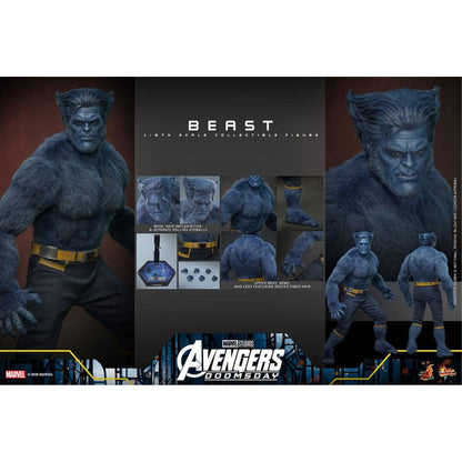 Marvel X-Men Movie Masterpiece 1/6 Beast (Collector Edition) -Action Figure