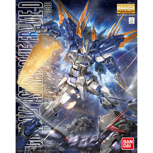 Mg Gundam Astray Blue Frame D 1/100 -Modellsats