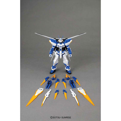 Mg Gundam Astray Blue Frame D 1/100 -Modellsats