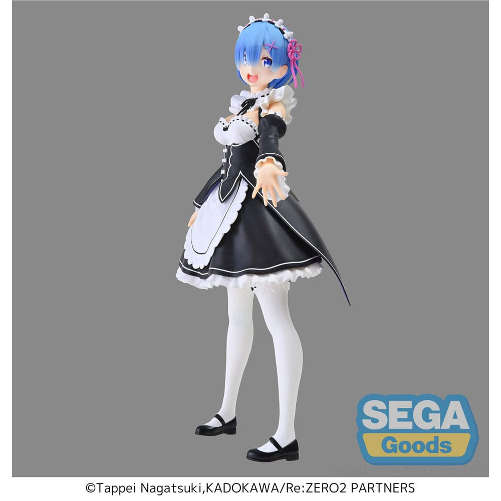 Re:Zero Starting Life in Another World Rem Salvation