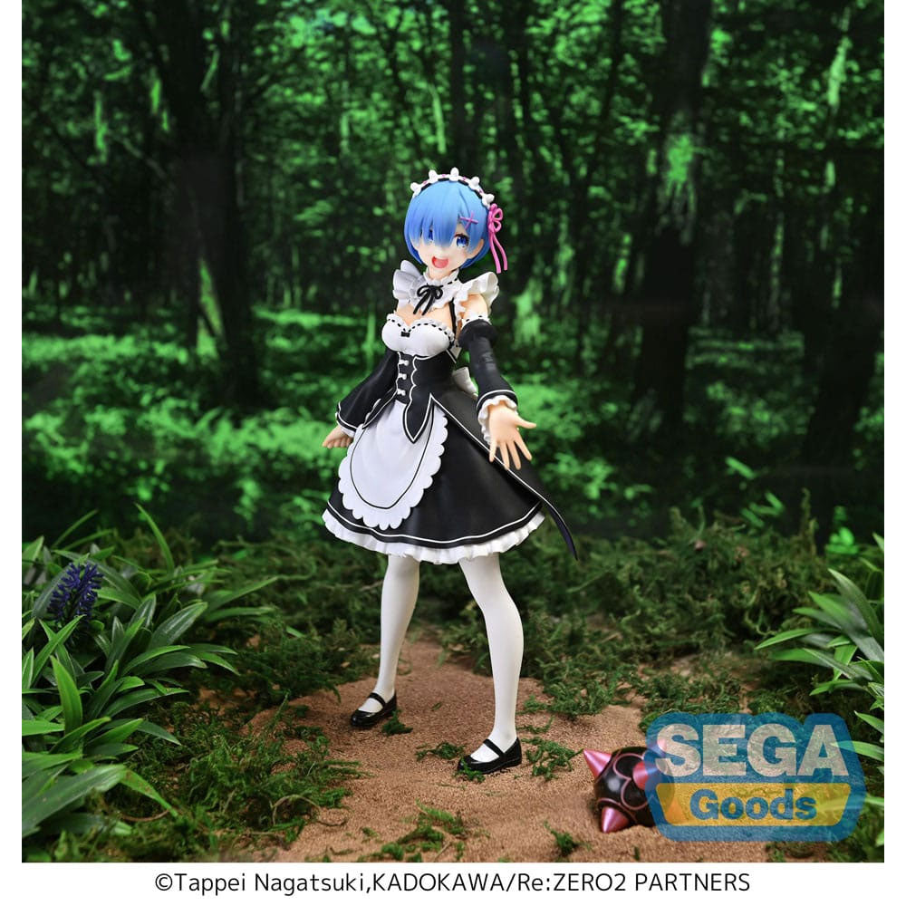 Re:Zero Starting Life in Another World Rem Salvation