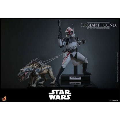 Star Wars: The Clone Wars 1/6 Sergeant Hound -Action Figuuri